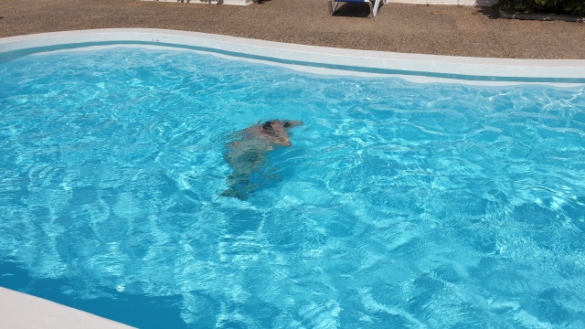 ../images/fotoalbum/lanzarote21/2021-06-13 16.56.59